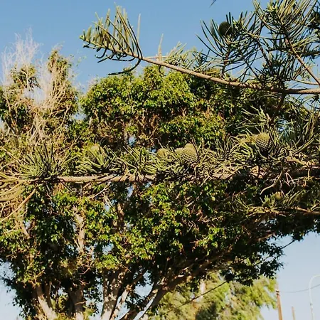 Relax Hébergement de vacances *