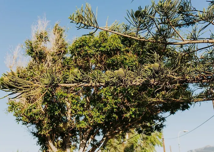 Relax بيت للعطل *